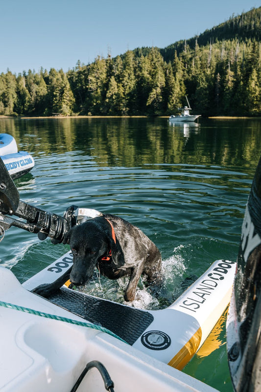 INFLATABLE ISLAND DOG RAMP