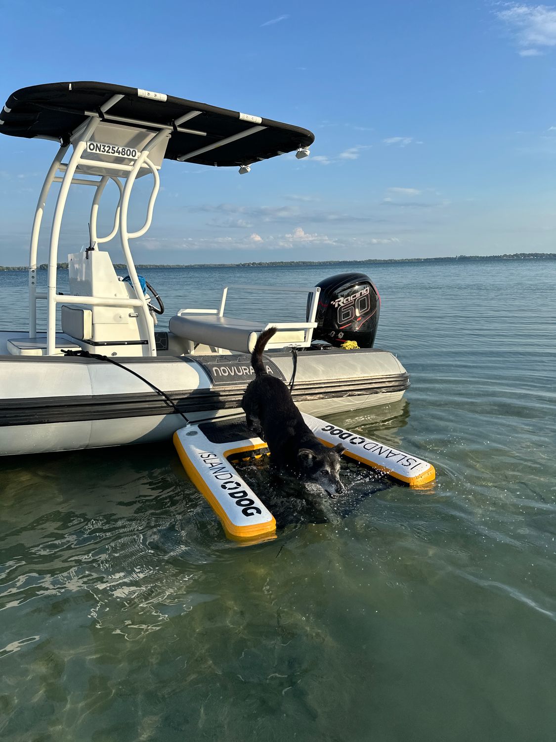 INFLATABLE ISLAND DOG RAMP