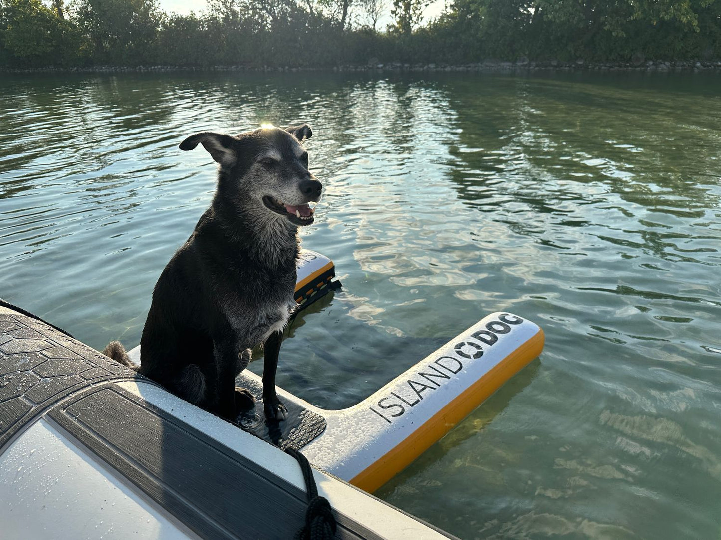INFLATABLE ISLAND DOG RAMP