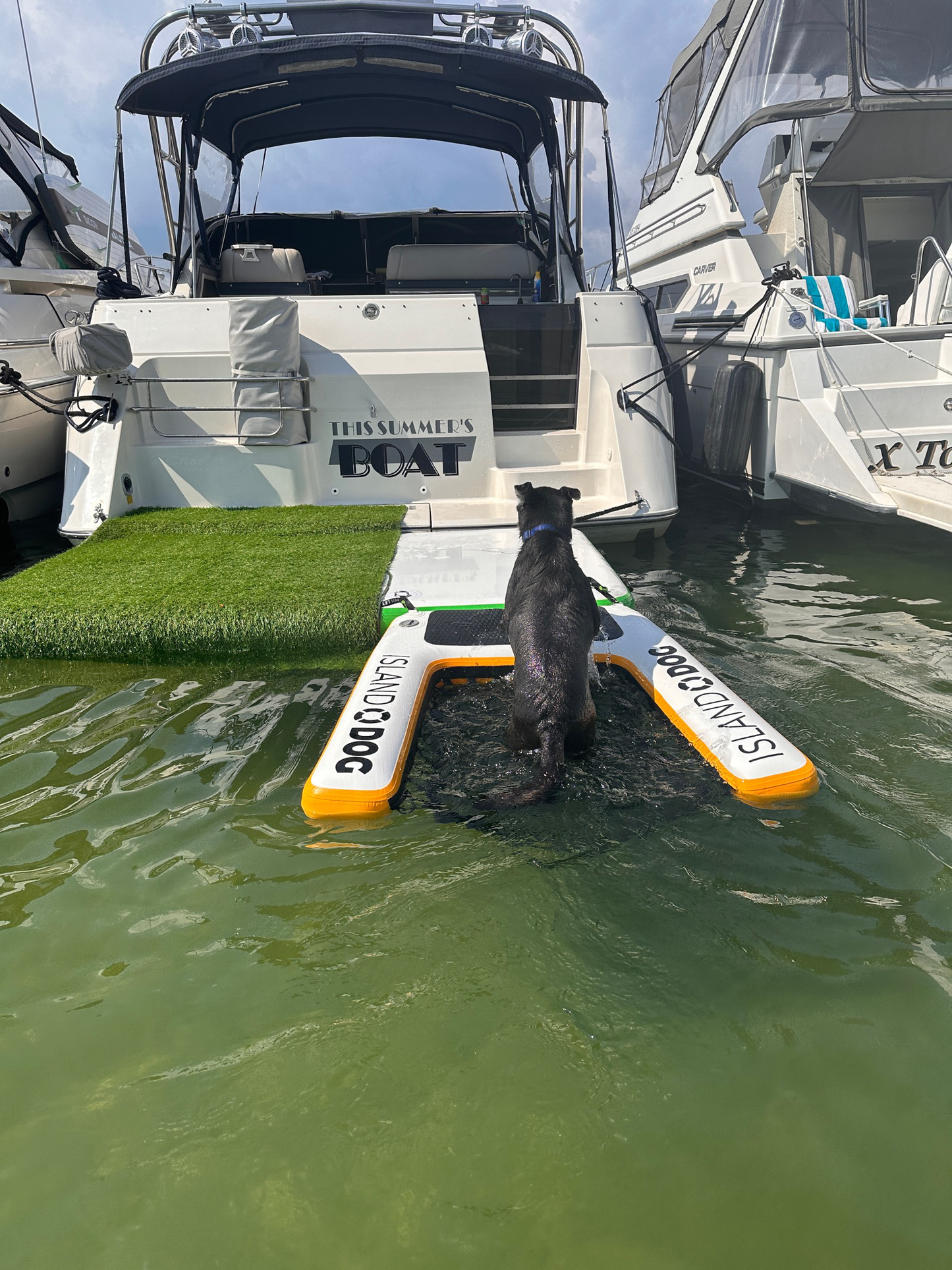 INFLATABLE ISLAND DOG RAMP